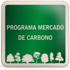 Programa Mercado de Carbono
